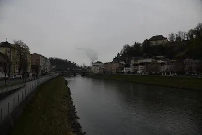 DSC_7105 (Large).JPG